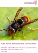 Asian hornet awareness and identification