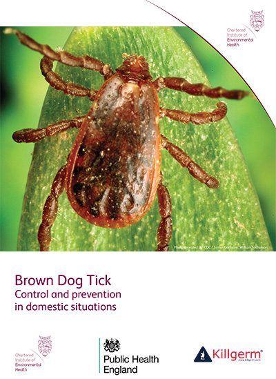 Brown Dog Tick: Control and prevention in domestic situations