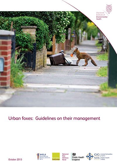 Urban foxes: Guidelines on their management